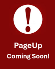 Button For PRO639076524120788045